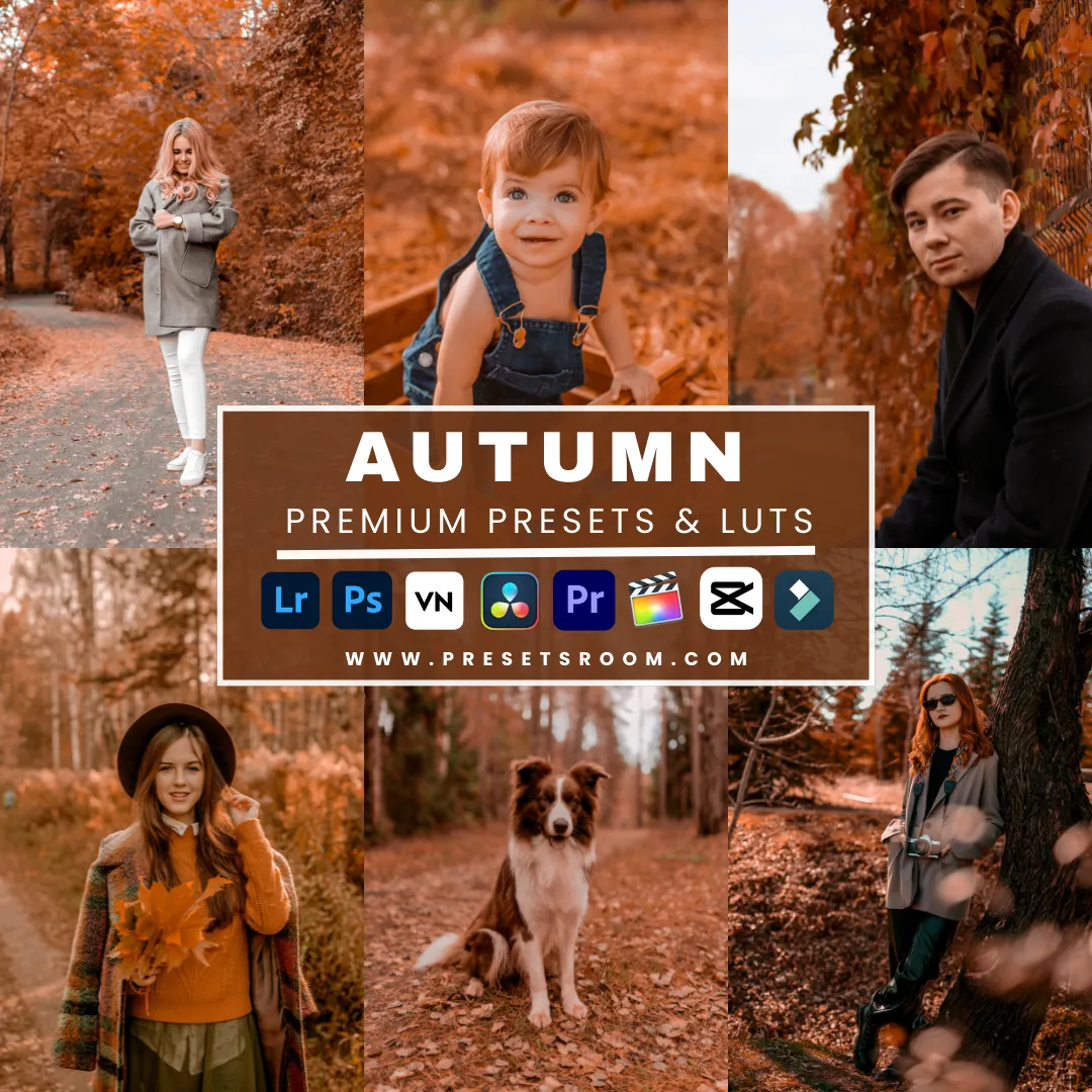 Autumn lightroom presets & luts collection