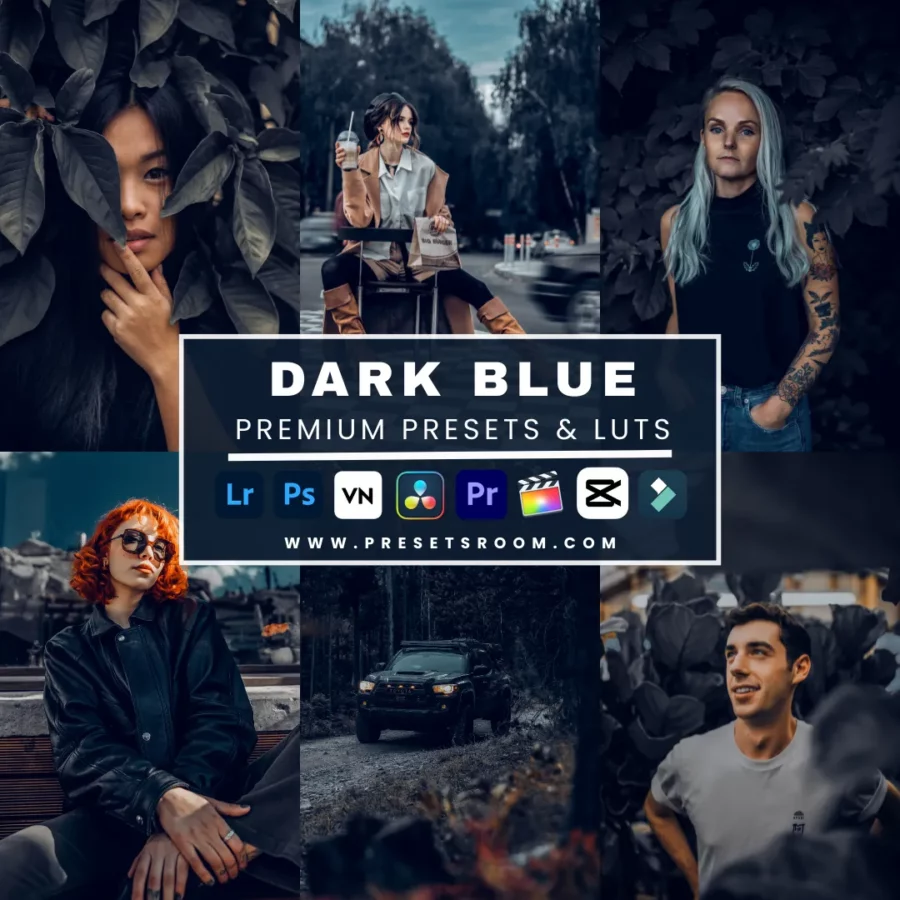 the Master 510+ Presets & Luts Bundle