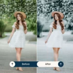 life style lightroom presets & luts collection