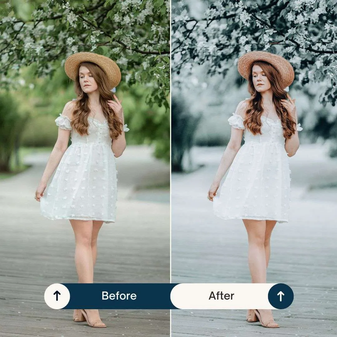 photography presets