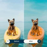 Insta Blogger lightroom presets & luts collection