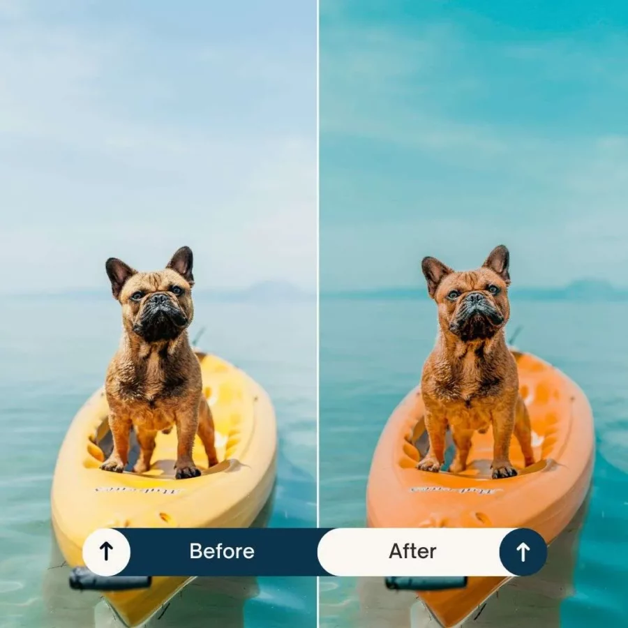 Insta Blogger lightroom presets & luts collection