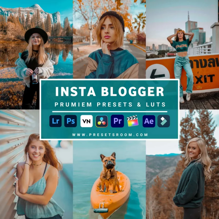 Insta Blogger lightroom presets & luts collection