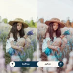 Dreamy lightroom presets & luts collection