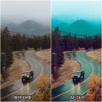 Portrait lightroom presets & luts Collection