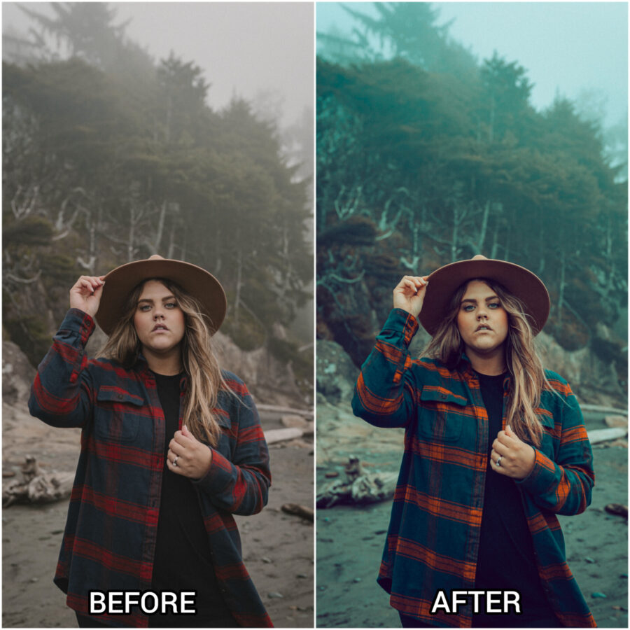 Portrait lightroom presets & luts Collection