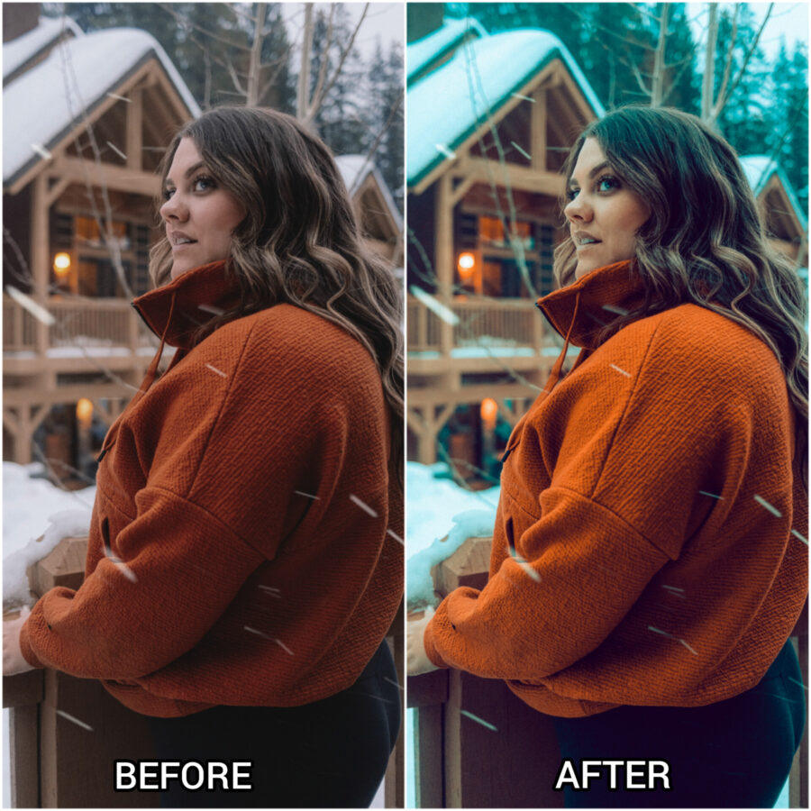 Portrait lightroom presets & luts Collection