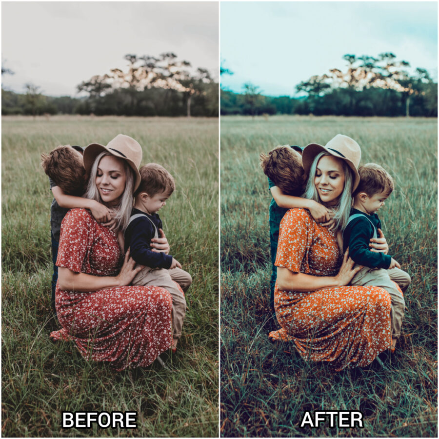 Portrait lightroom presets & luts Collection