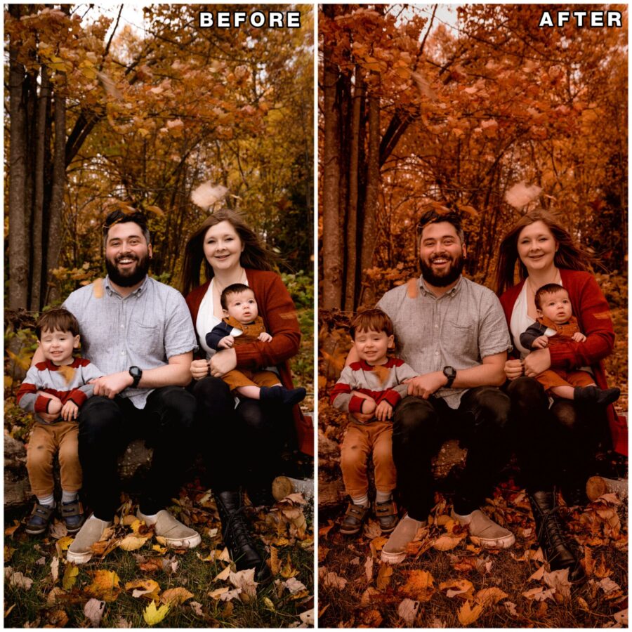 Autumn lightroom presets & luts collection