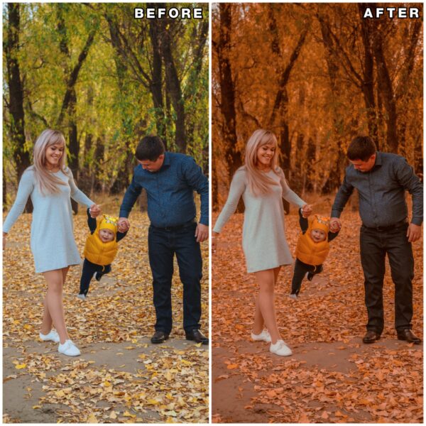Autumn lightroom presets & luts collection