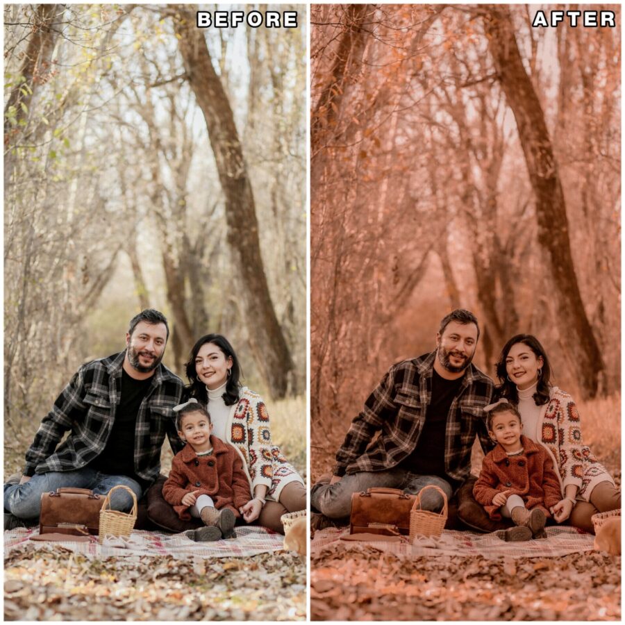 Autumn lightroom presets & luts collection