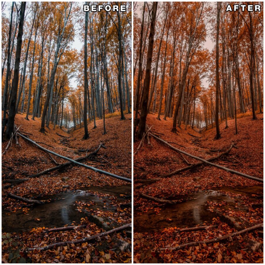 Autumn lightroom presets & luts collection