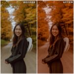 Autumn lightroom presets & luts collection