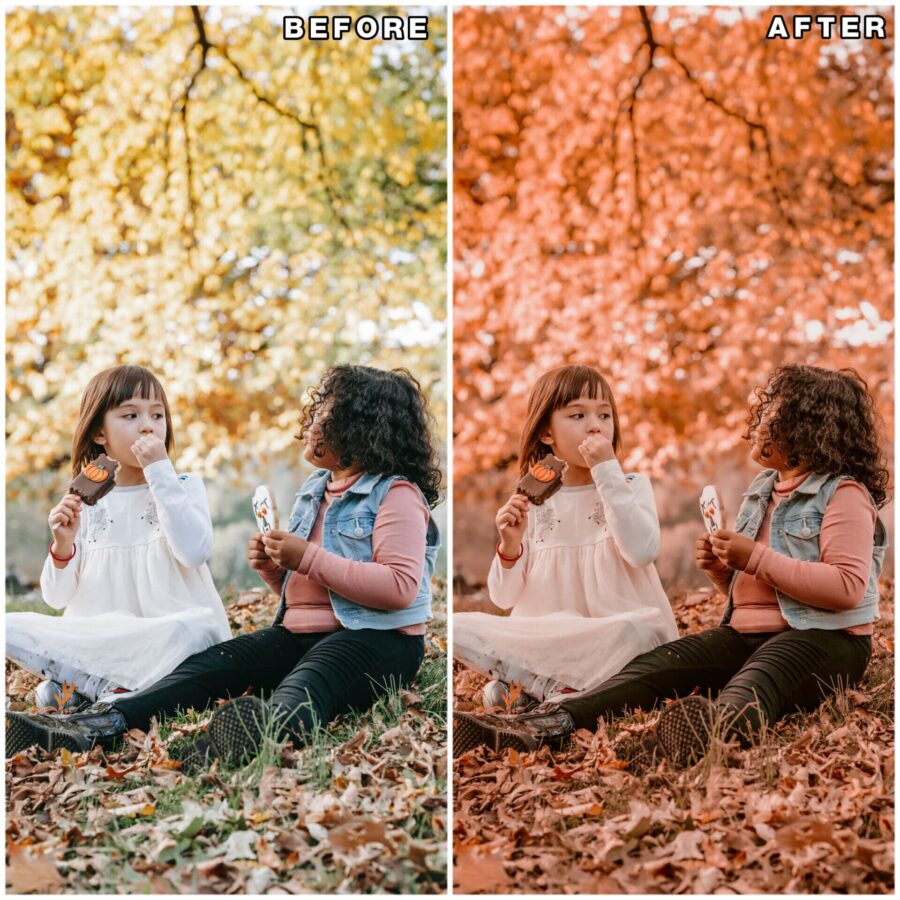 Autumn lightroom presets & luts collection