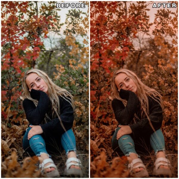 Autumn lightroom presets & luts collection
