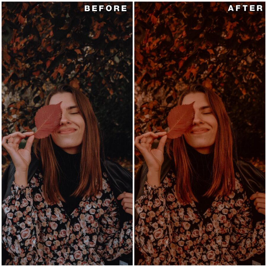 Autumn lightroom presets & luts collection