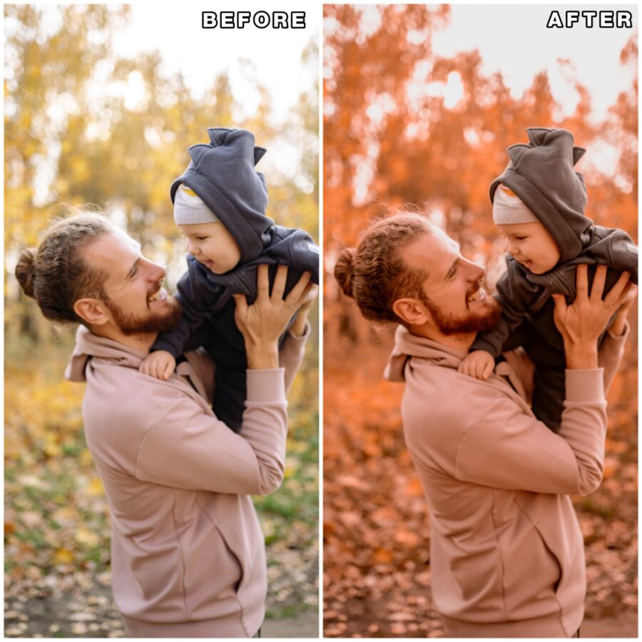 Autumn lightroom presets & luts collection