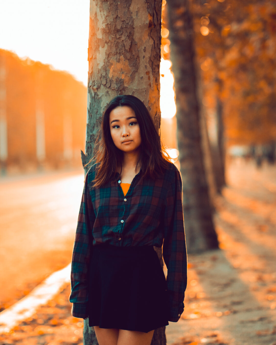 Portrait lightroom presets & luts Collection