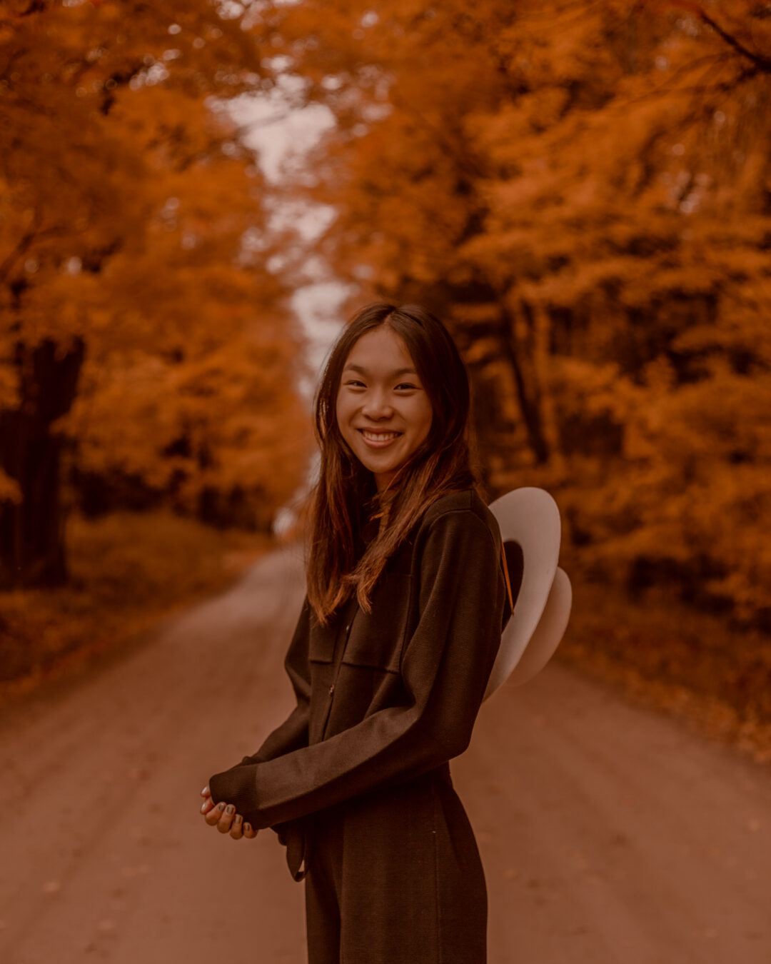 fall presets lightroom