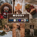 the Master 510+ Presets & Luts Bundle