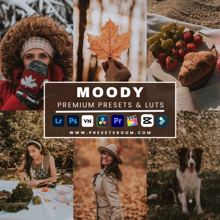 the Master 510+ Presets & Luts Bundle