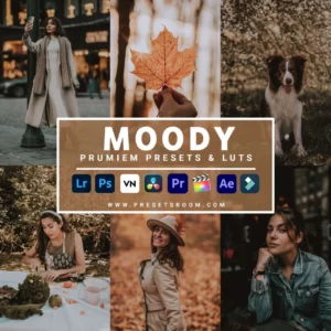 Moody Lightroom Presets & Luts Collection